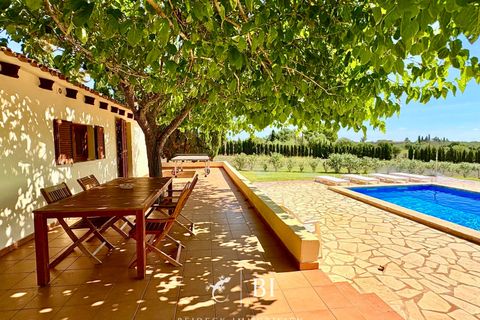 Finca in Porto Cristo, Mallorca - photo 1